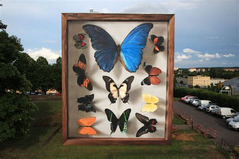 Butterfly Specimen Boxes Painted As Multi Story Murals By Mantra — Colossal