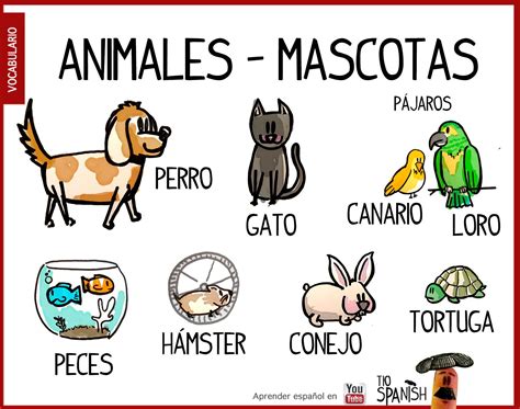 Las Mascotas Animales Domésticos En Español Vocabulario Español