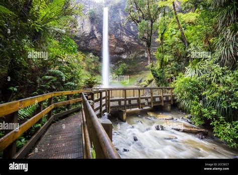 Beautiful Waterfall In Green Rainforest New Zealand Stock Photo Alamy