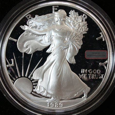 1989 American Silver Eagle Proof Coin