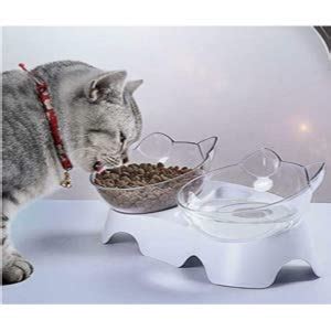 Selection of the best cat feeding bowls that relieve whisker stress during mealtime. The 3 Best Anti Vomit Cat Bowls Of 2021 - Cat Loves Best