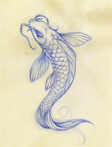 Koi Fish Sketch By Daeo On Deviantart Koi Fish Drawing Fish Sketch