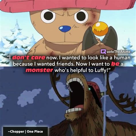 50 Powerful One Piece Quotes That Made You Cry