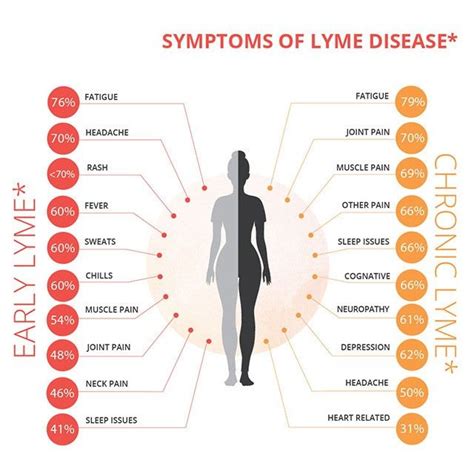Instagram Photo By Lyme Now • Jun 13 2016 At 848pm Utc Lyme Disease