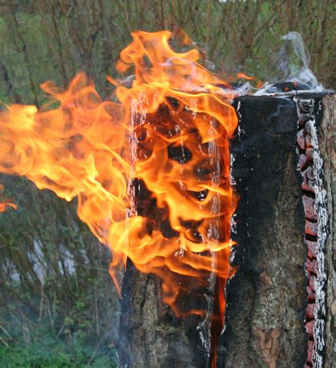 Bis zu 31,5 kg können schwedenfeuer z.b. Reetselig: Schwedenfeuer