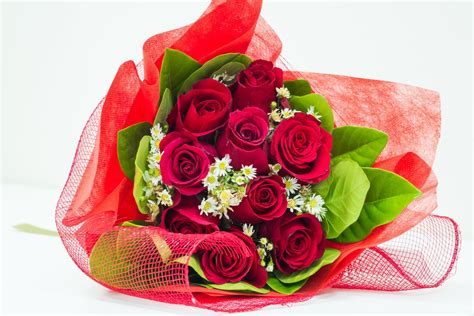 Beautiful love images ⚘ anita cruz ⚘. گل رز قرمز؛ عکس های زیباترین گل های رز قرمز برای عکس پروفایل