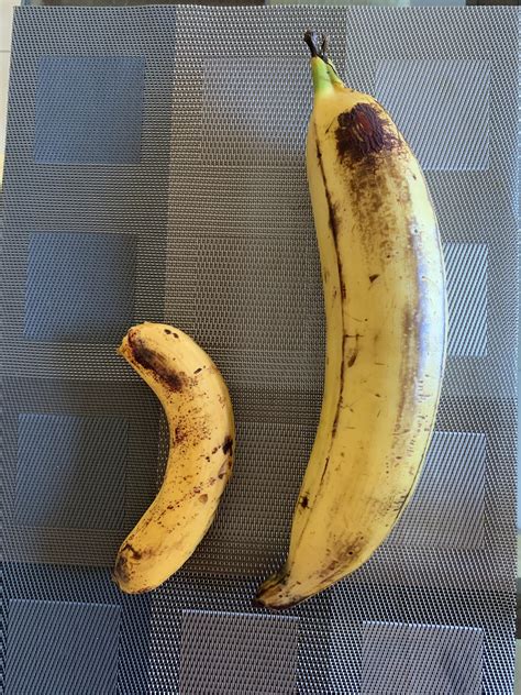 This Giant Banana Vs Regular Sized Banana Rabsoluteunits