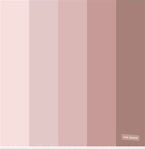 Blush Tones Pretty Blush Color Schemes Color Palette Pink Pink