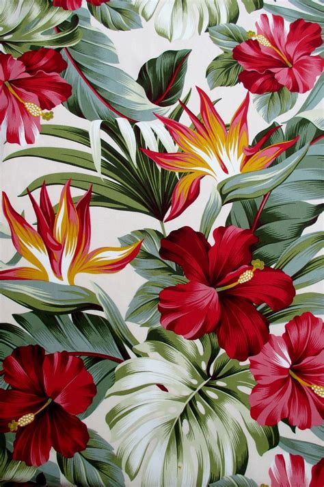 Tropical Iphone Flower Birds Of Paradise Flower Tropical Hawaii