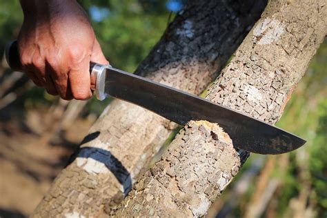 The 7 Best Machetes For Survival In 2020 Rated And Reviewed