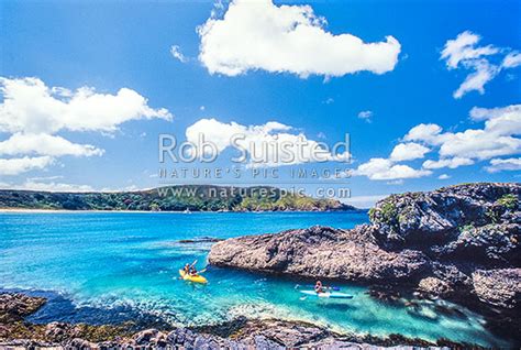 Summer At Maitai Matai Bay Beach With Flowering Pohutukawa Tree