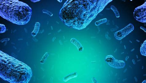 Bisakan itu diungkapkan dengan cara lain? Apa Itu Virus? Inilah Pengertian dan Perbedaannya dengan ...