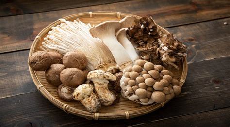 Love Mushrooms Here Are 13 Varieties You Can Eat Lifestyle Gallery