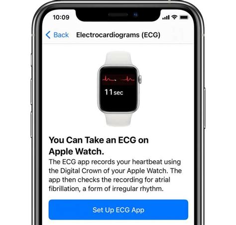 How To Use The Irregular Heart Rhythm Notification Feature On Apple