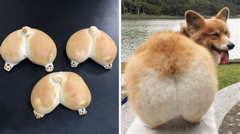 Japanese Bakery Pays Homage To Glorious Corgi Butts With Amazing