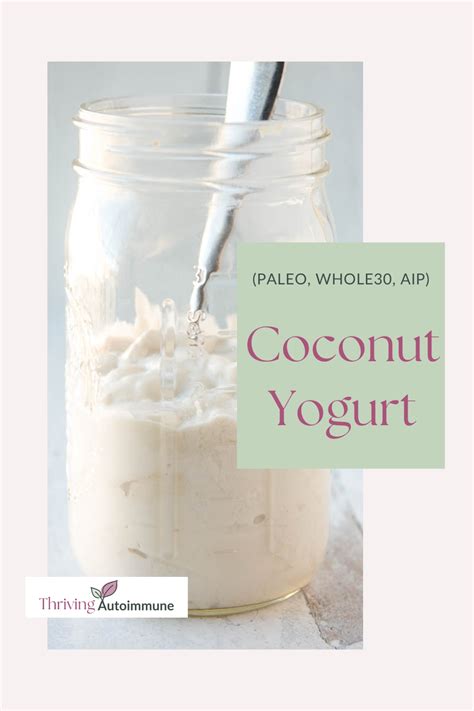 Coconut Yogurt Paleo Whole Aip Thriving On Paleo