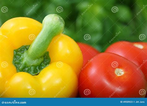 Ripe Bell Pepper And Tomatoes Stock Image Image Of Yellow Vivid 4950923