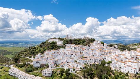 Now i lead this tour to andalusia every february in search of the hectares. Essential Andalusia: the inside guide | Travel | The ...