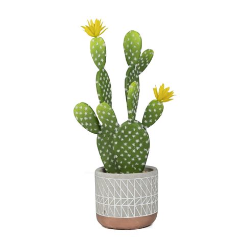 Mainstays 154 Artificial Cactus Succulent Plant In Cement Pot