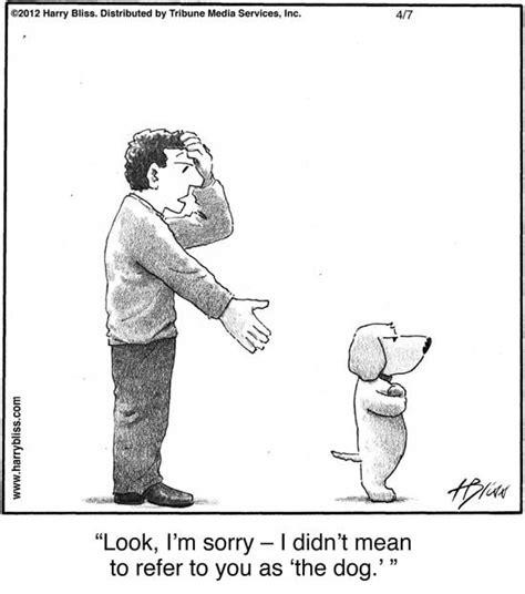 Look Im Sorry The Bliss Cartoon Collection By Harry Bliss Dog