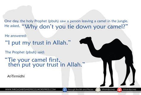 Send comments to the jamaica observer or tariq1azeem@gmail.com. steadyaku47: Trust In ALLAH but tie your camel first!