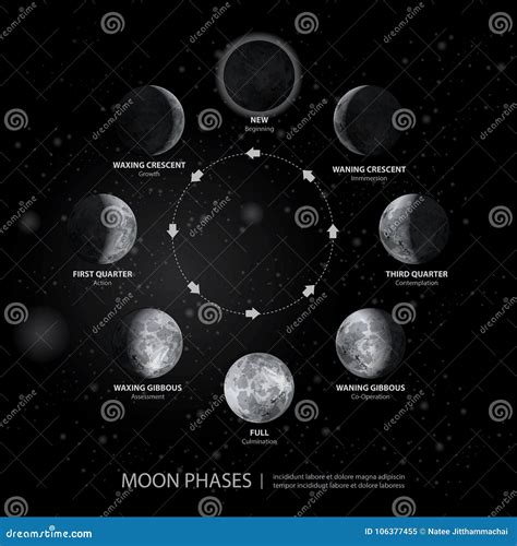 Movements Of The Moon Phases Realistic Stock Vector Illustration Of