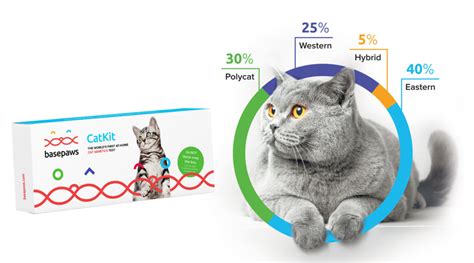 Though it was unlikely she had any purebred heritage, it was interesting to see which breeds she most resembled. DNA Testing Kit For Cats - Modern Cat