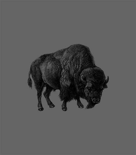 Buffalo Vintage Animal Print Digital Art By Maxime Kerin Pixels