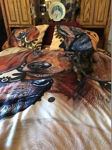 However, this can result in stress and separation anxiety. Pin by OnlinePreSales.Com on Dachshund Lover | King size ...