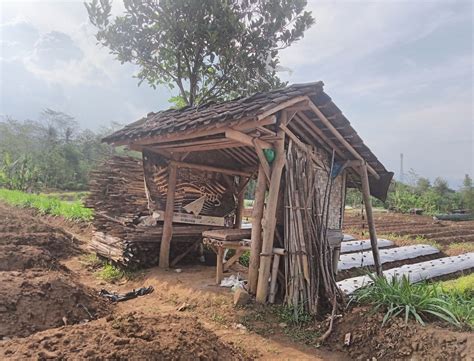 Gubuk Tani Eksotika Desa