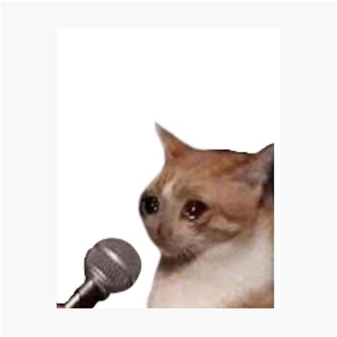 Meme De Gato Llorando Con Microfono Como Es Vivir Con Un Gato