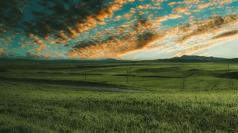 Wallpaper Grasses Field Horizon Green Sky Hd Picture Image