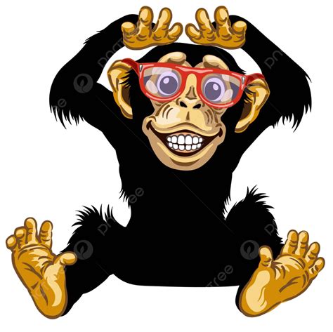 Happy Cartoon Chimp With Glasses Chimpanzee Primate Intelligent Vector