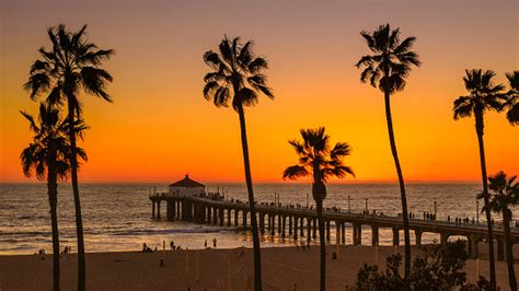 Palm Trees On Manhattan Beach At Orange Sunset In California Stock