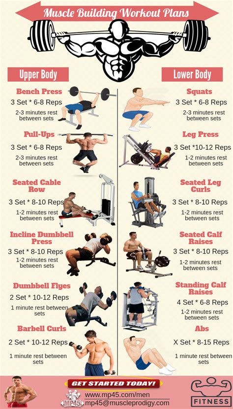Body Building Workouts Muscle Building Workout Plan Workout Routine