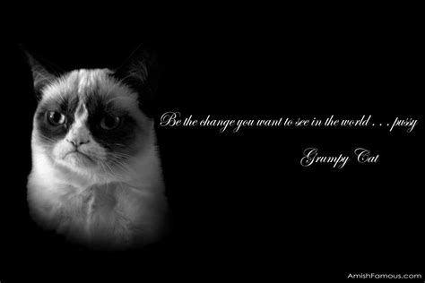 37 Grumpy Cat Meme Wallpaper On Wallpapersafari