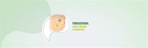 Fibroadenoma causas sintomas e tratamento PróOnco mulher