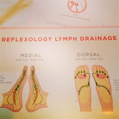 Reflexology For Lymph Nodes