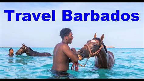 Barbados Travel Tips And Advice A Barbados Travel Guide Travel Media And Trade Youtube