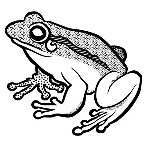 Vector Clip Art Of Waiting Frog In Black And White Free Svg