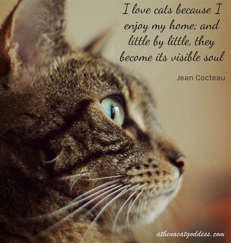 Athena Cat Goddess Wise Kitty Cat Quote I Love Cats