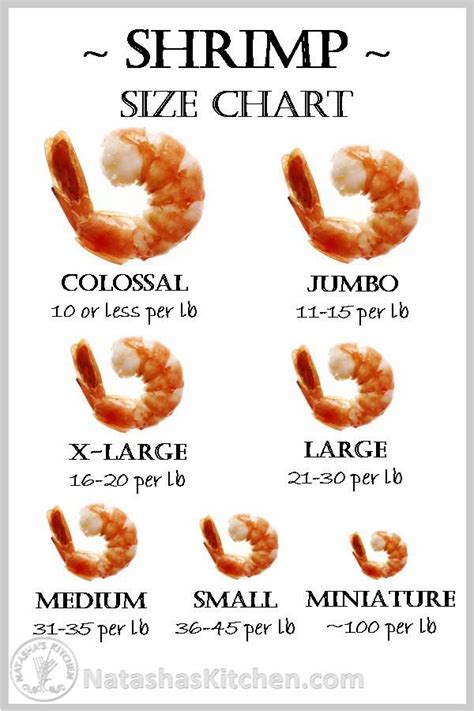Count Shrimp Sizing Chart