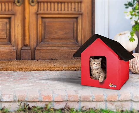 Top 10 Insulated Outdoor Cat Houses The Complete Buying Guide