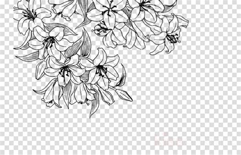 Line Art Flower Hand Drawn Watercolor Fine Line Clipart Modern