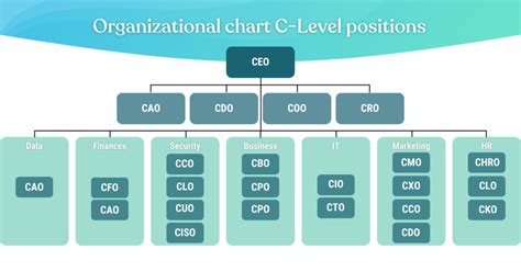What Does A Chief Marketing Officer Cmo Do C Level Roles