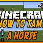 Ride Horse Minecraft