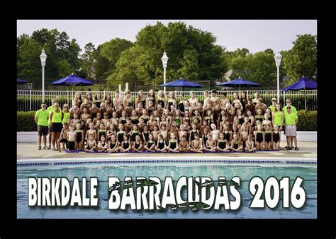 Home Birkdale Barracudas Swim Team