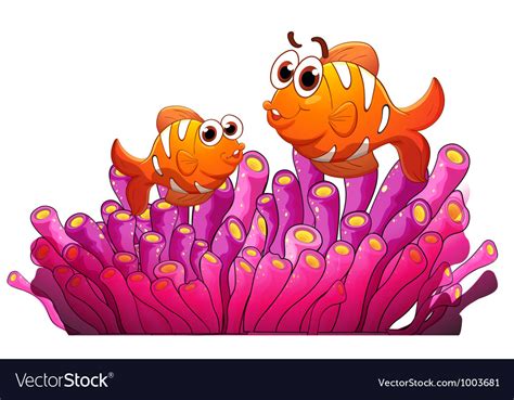 Clownfish And Sea Anemone Royalty Free Vector Image