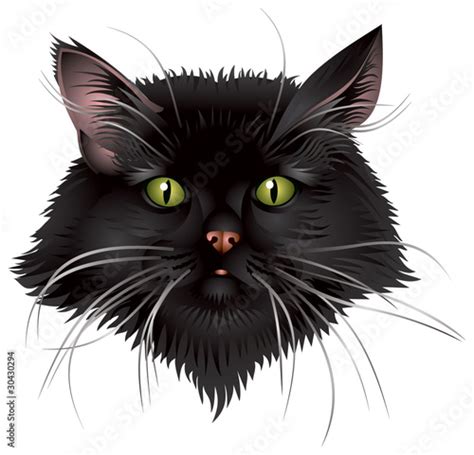 Black Cat Head In Vector Stock Image And Royalty Free Vector Files On