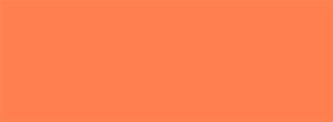Coral Solid Color Background